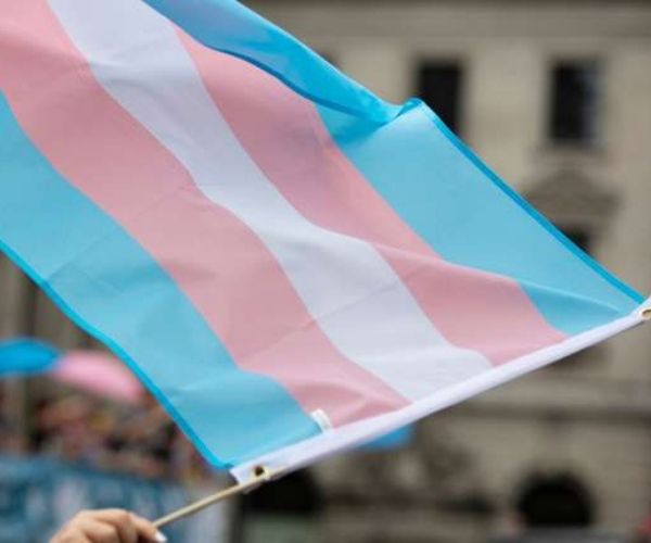 Presentan en la Legislatura un proyecto integral de inclusión social trans. Echevarría: “La inclusión integral es un derecho urgente” 1 bandera del orgullo travesti trans flameando