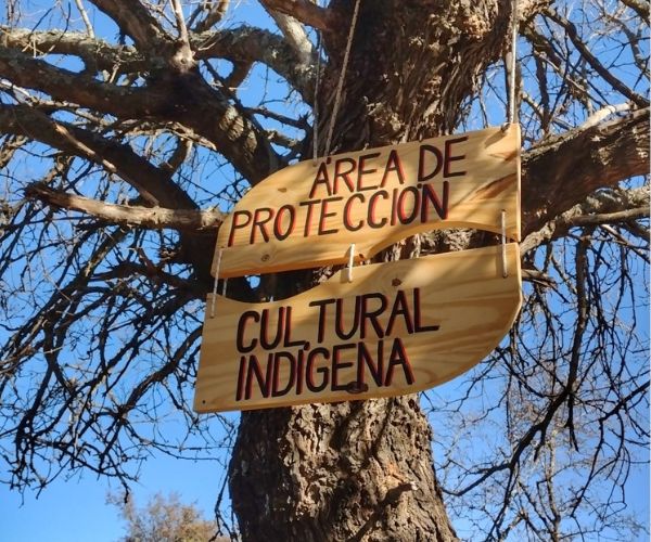 Cartel de madera colgando de un árbol con la inscrición área de protección cultural indígena